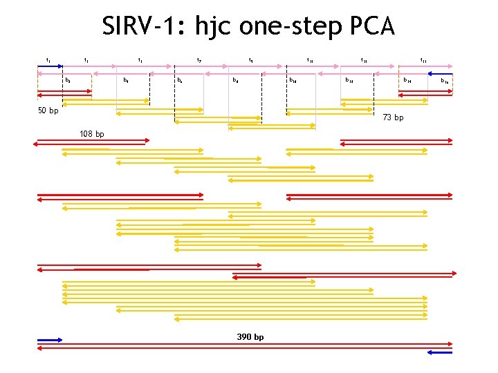 SIRV-1: hjc one-step PCA t 1 t 3 b 2 t 5 b 4