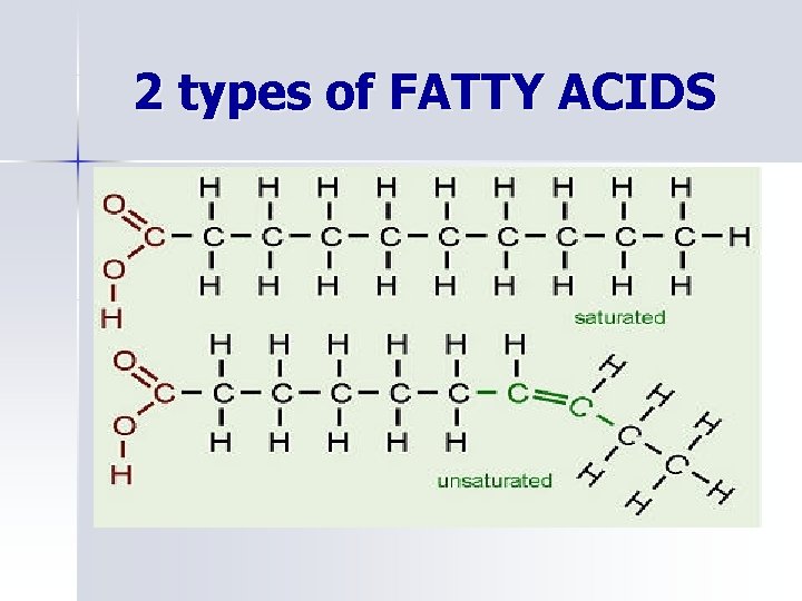 2 types of FATTY ACIDS 