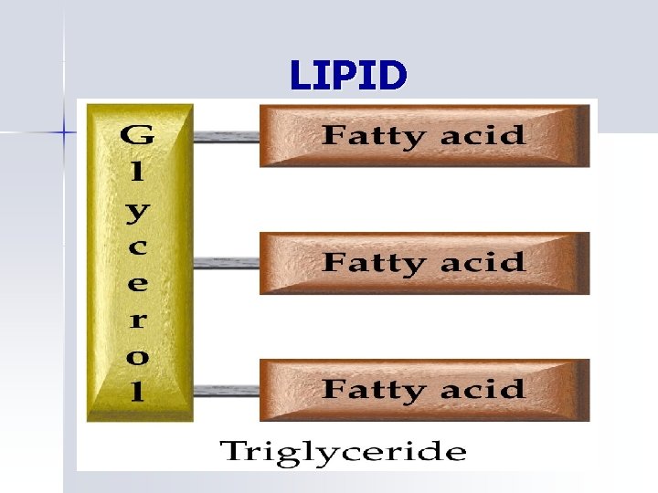 LIPID 