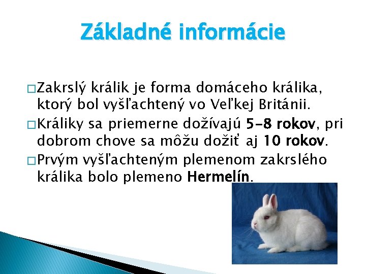 Základné informácie � Zakrslý králik je forma domáceho králika, ktorý bol vyšľachtený vo Veľkej