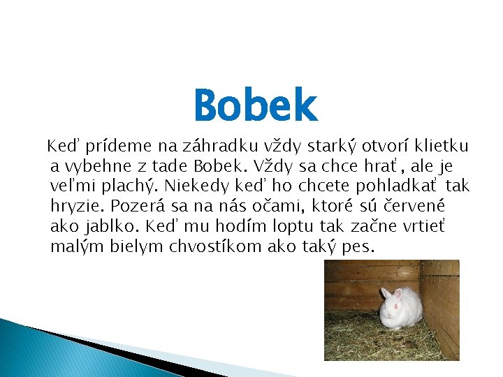 Bobek Keď prídeme na záhradku vždy starký otvorí klietku a vybehne z tade Bobek.