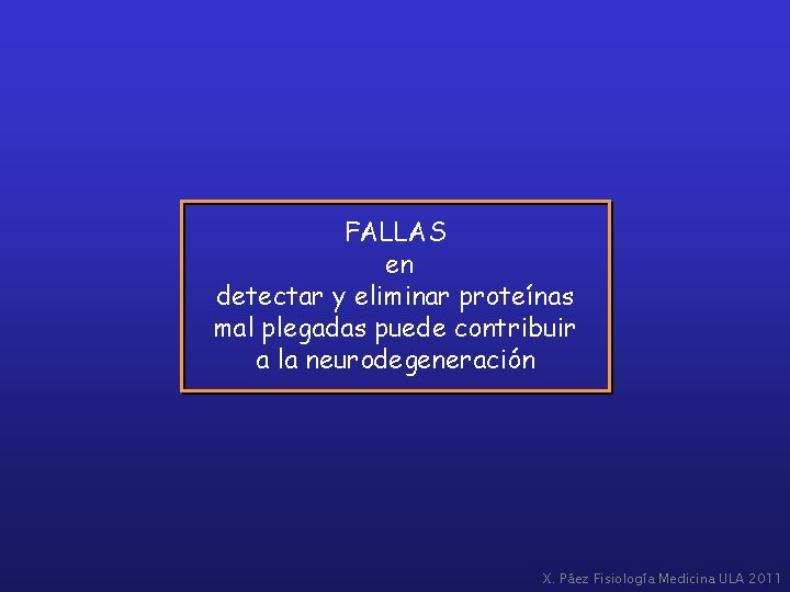 FALLAS en detectar y eliminar proteínas mal plegadas puede contribuir a la neurodegeneración X.