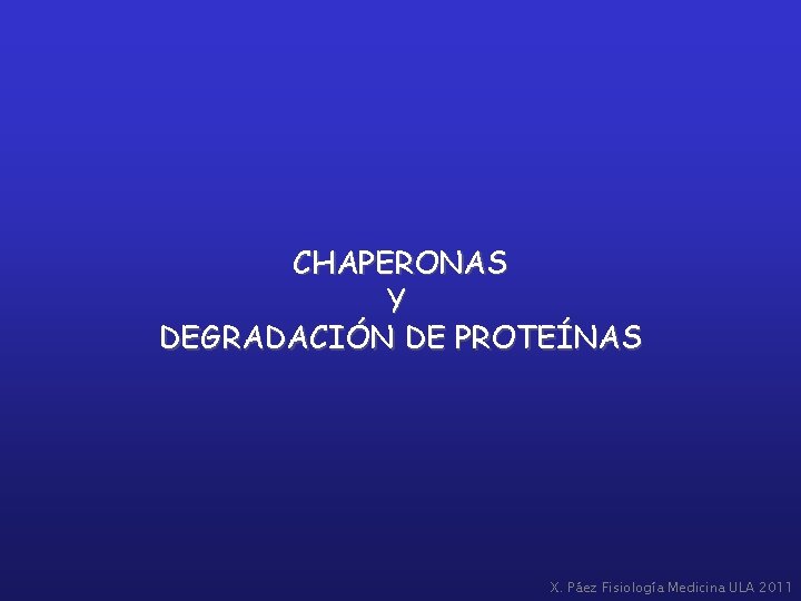 CHAPERONAS Y DEGRADACIÓN DE PROTEÍNAS X. Páez Fisiología Medicina ULA 2011 