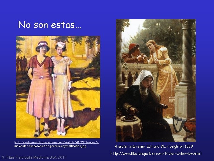 No son estas… http: //web. emeraldbiosystems. com/Portals/41722/images// molecular-chaperone-for-protein-crytsallization. jpg X. Páez Fisiología Medicina ULA