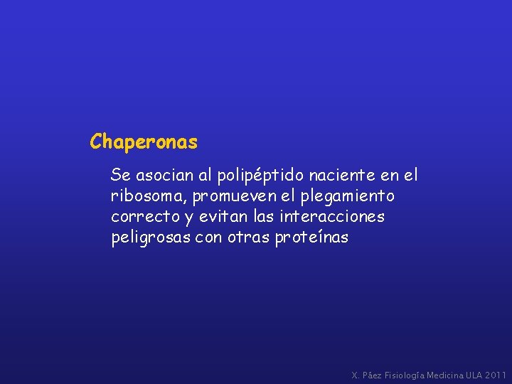 Chaperonas Se asocian al polipéptido naciente en el ribosoma, promueven el plegamiento correcto y