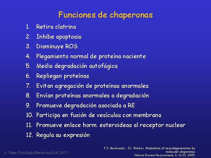 Funciones de chaperonas 1. Retira clatrina 2. Inhibe apoptosis 3. Disminuye ROS 4. Plegamiento