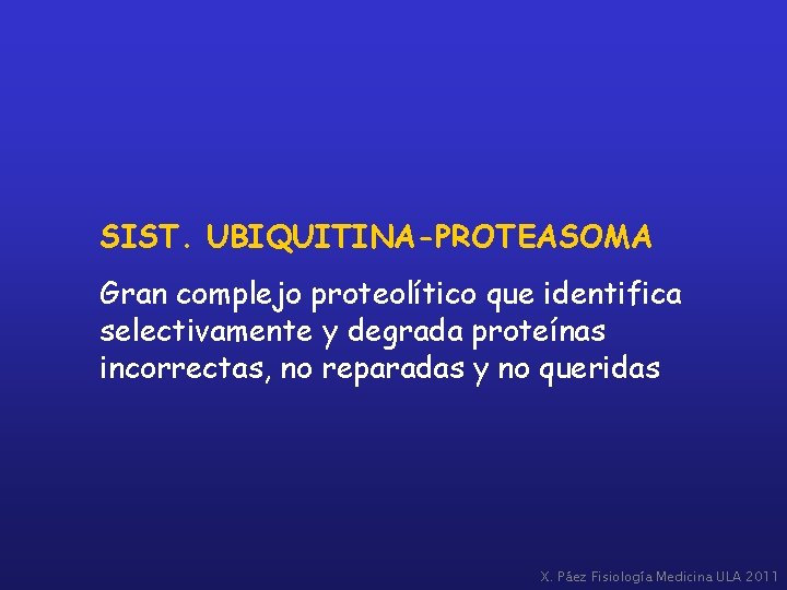 SIST. UBIQUITINA-PROTEASOMA Gran complejo proteolítico que identifica selectivamente y degrada proteínas incorrectas, no reparadas