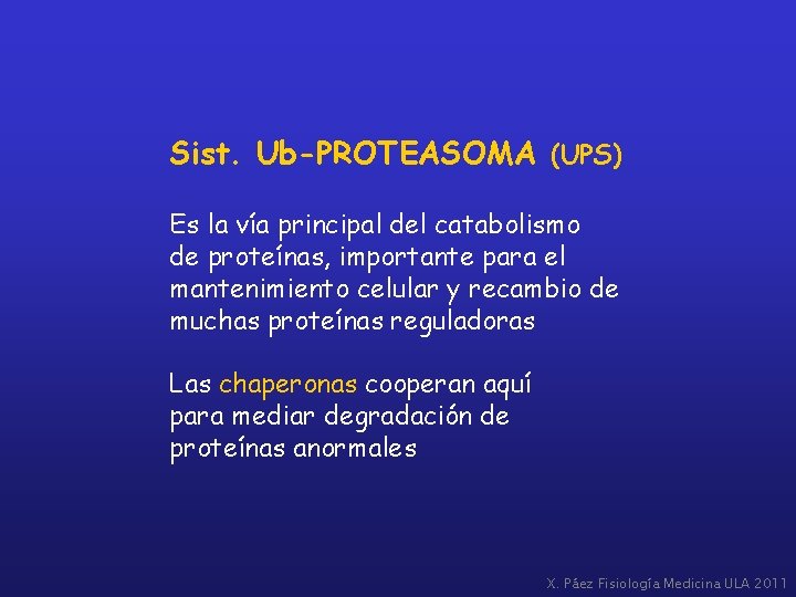 Sist. Ub-PROTEASOMA (UPS) Es la vía principal del catabolismo de proteínas, importante para el