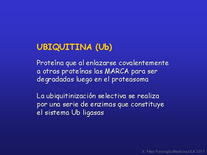 UBIQUITINA (Ub) Proteína que al enlazarse covalentemente a otras proteínas las MARCA para ser