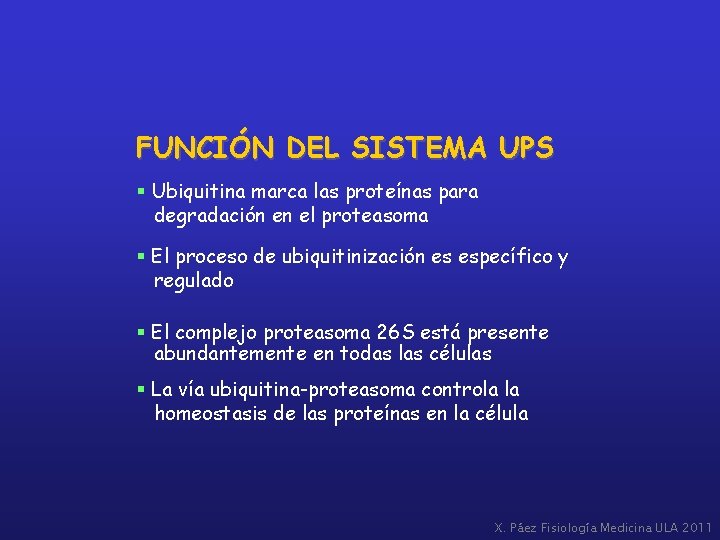 FUNCIÓN DEL SISTEMA UPS § Ubiquitina marca las proteínas para degradación en el proteasoma