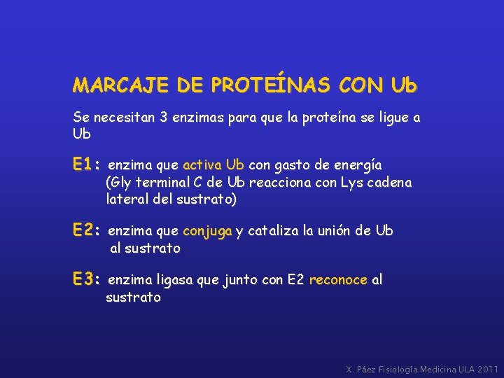 MARCAJE DE PROTEÍNAS CON Ub Se necesitan 3 enzimas para que la proteína se