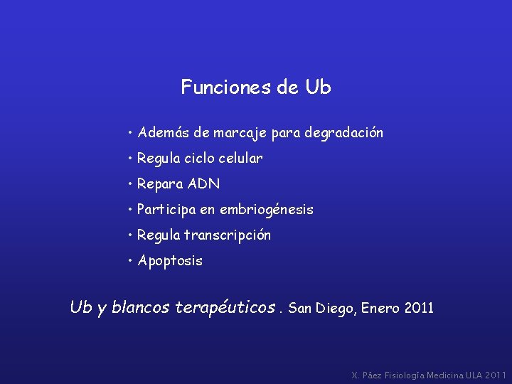 Funciones de Ub • Además de marcaje para degradación • Regula ciclo celular •