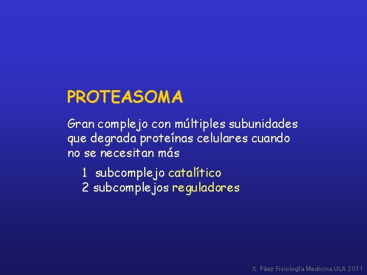 PROTEASOMA Gran complejo con múltiples subunidades que degrada proteínas celulares cuando no se necesitan