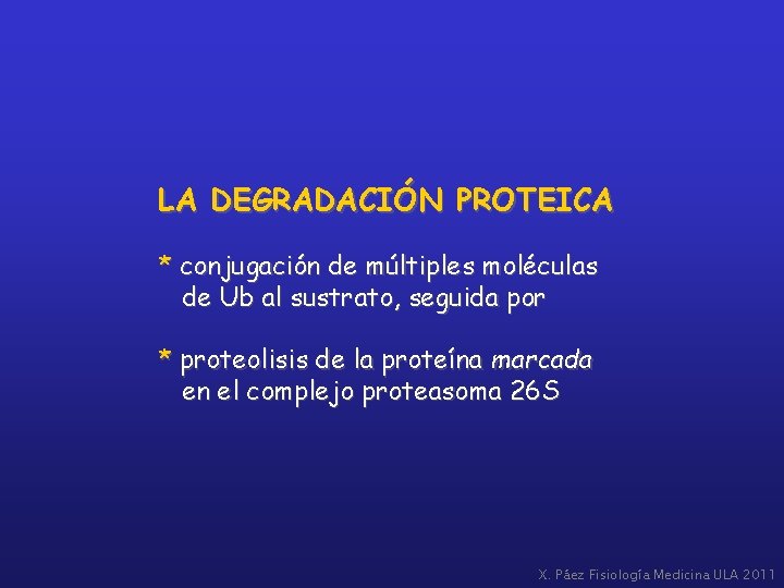 LA DEGRADACIÓN PROTEICA * conjugación de múltiples moléculas de Ub al sustrato, seguida por