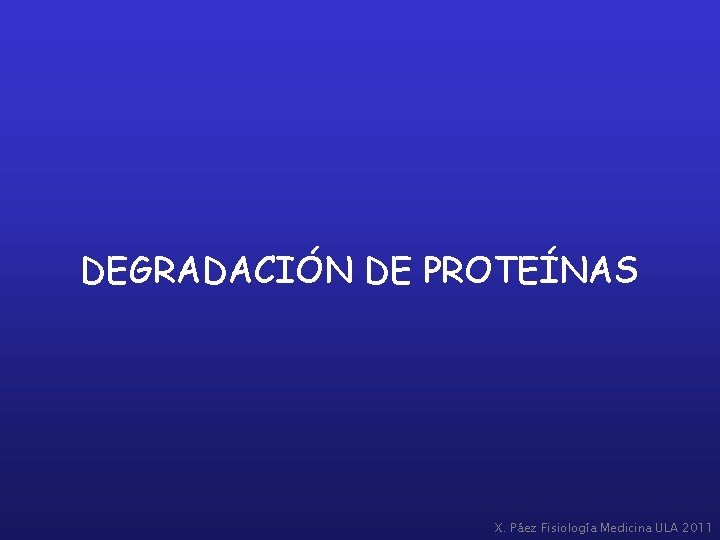 DEGRADACIÓN DE PROTEÍNAS X. Páez Fisiología Medicina ULA 2011 