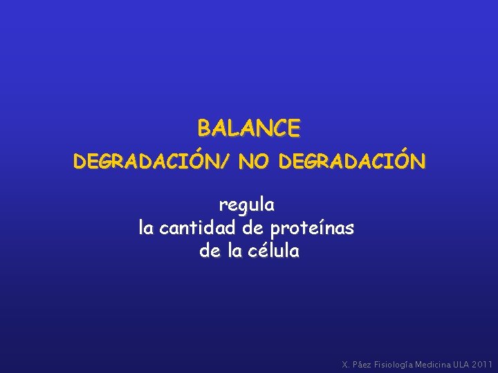 BALANCE DEGRADACIÓN/ NO DEGRADACIÓN regula la cantidad de proteínas de la célula X. Páez