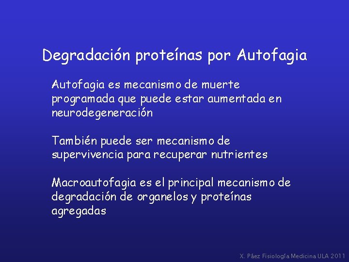 Degradación proteínas por Autofagia es mecanismo de muerte programada que puede estar aumentada en