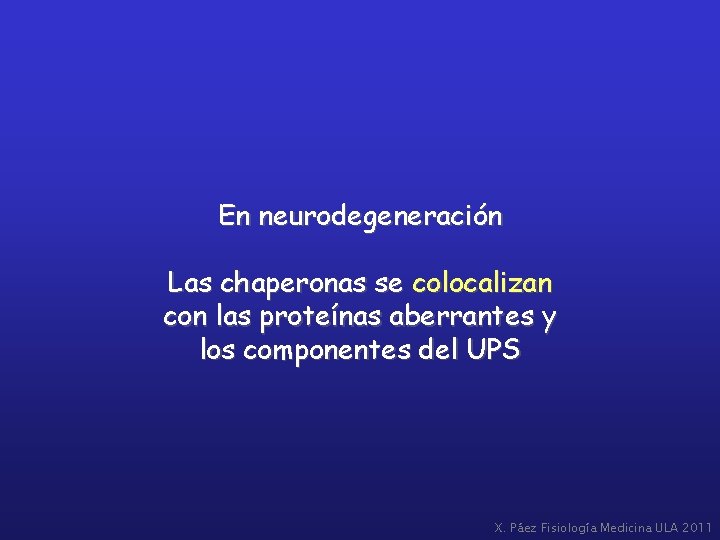 En neurodegeneración Las chaperonas se colocalizan con las proteínas aberrantes y los componentes del