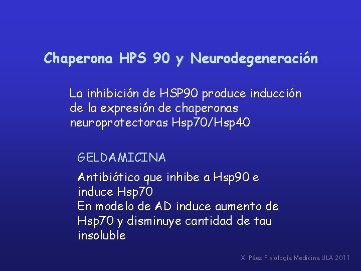 Chaperona HPS 90 y Neurodegeneración La inhibición de HSP 90 produce inducción de la