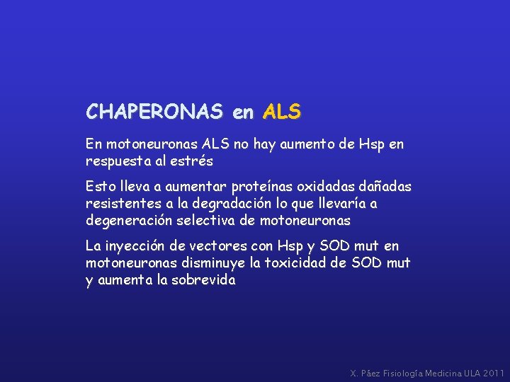 CHAPERONAS en ALS En motoneuronas ALS no hay aumento de Hsp en respuesta al