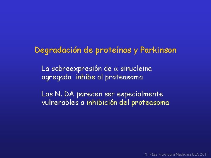 Degradación de proteínas y Parkinson La sobreexpresión de a sinucleina agregada inhibe al proteasoma