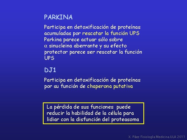 PARKINA Participa en detoxificación de proteínas acumuladas por rescatar la función UPS Parkina parece