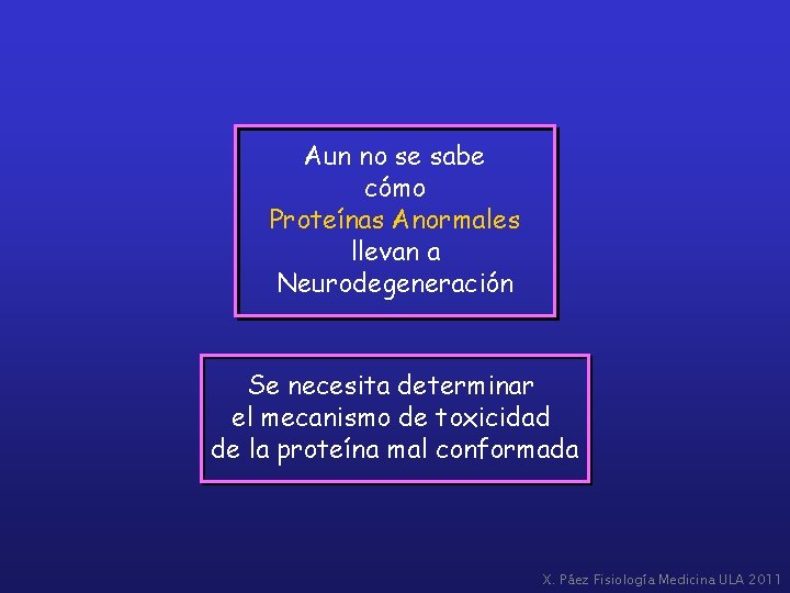 Aun no se sabe cómo Proteínas Anormales llevan a Neurodegeneración Se necesita determinar el