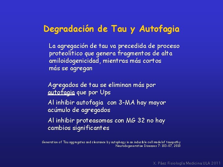 Degradación de Tau y Autofagia La agregación de tau va precedida de proceso proteolítico