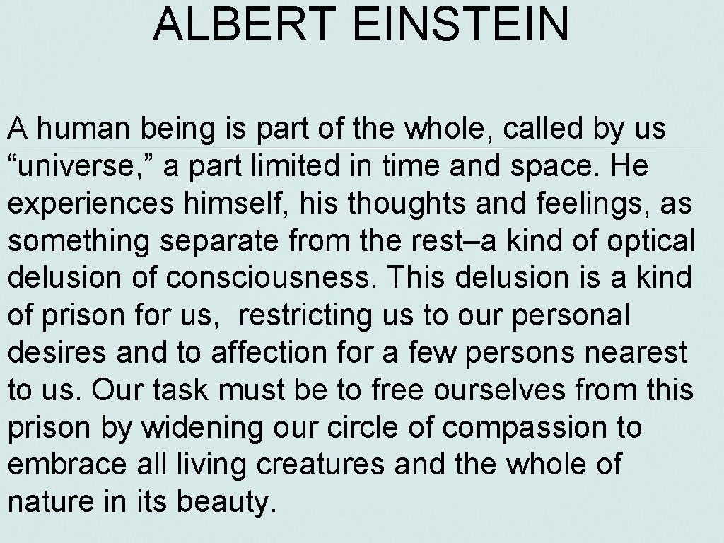 ALBERT EINSTEIN A human being is part of the whole, called by us “universe,