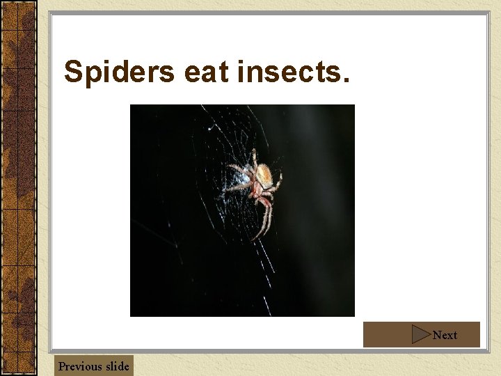 Spiders eat insects. Next Previous slide Spiders eat insects. Next Previous slide