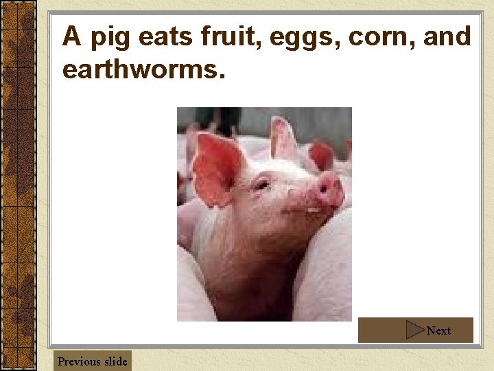 A pig eats fruit, eggs, corn, and earthworms. Next Previous slide 