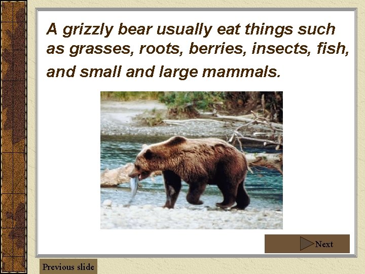 A grizzly bear usually eat things such as grasses, roots, berries, insects, fish, and A grizzly bear usually eat things such as grasses, roots, berries, insects, fish, and