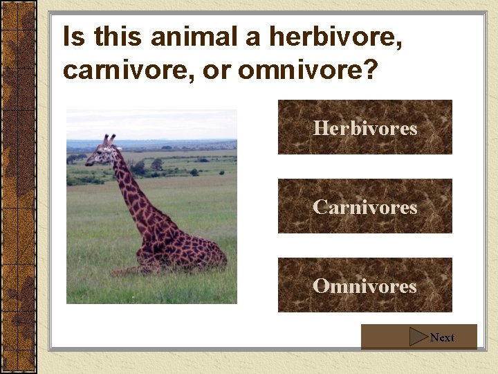 Is this animal a herbivore, carnivore, or omnivore? Herbivores Carnivores Omnivores Next Is this animal a herbivore, carnivore, or omnivore? Herbivores Carnivores Omnivores Next