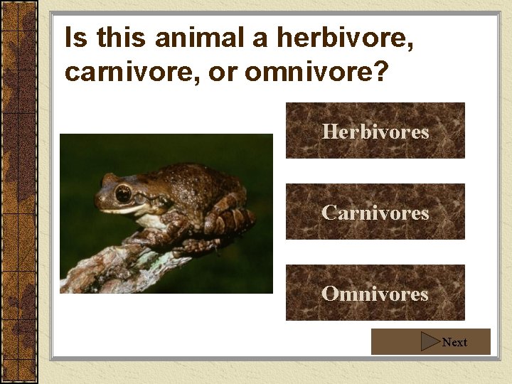 Is this animal a herbivore, carnivore, or omnivore? Herbivores Carnivores Omnivores Next Is this animal a herbivore, carnivore, or omnivore? Herbivores Carnivores Omnivores Next