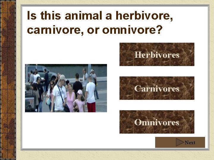 Is this animal a herbivore, carnivore, or omnivore? Herbivores Carnivores Omnivores Next Is this animal a herbivore, carnivore, or omnivore? Herbivores Carnivores Omnivores Next