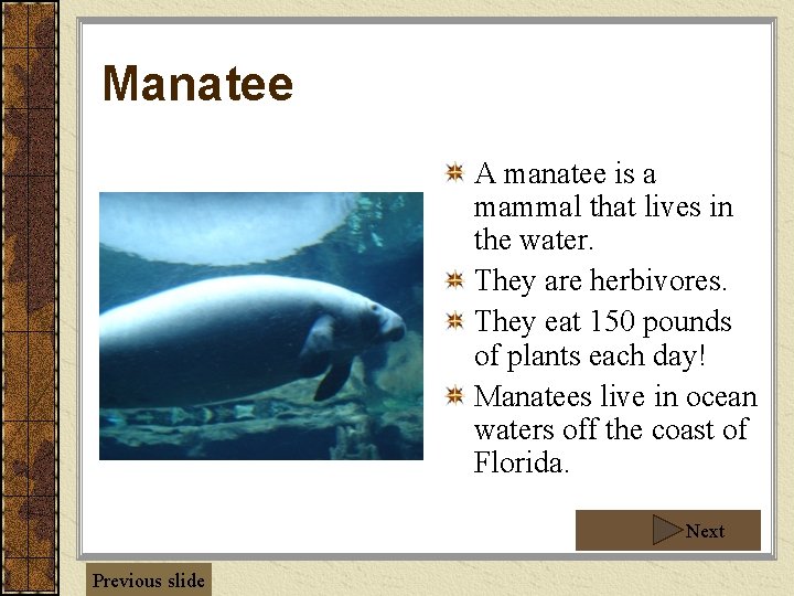Manatee A manatee is a mammal that lives in the water. They are herbivores.