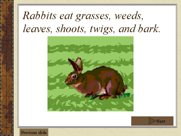 Rabbits eat grasses, weeds, leaves, shoots, twigs, and bark. Next Previous slide 