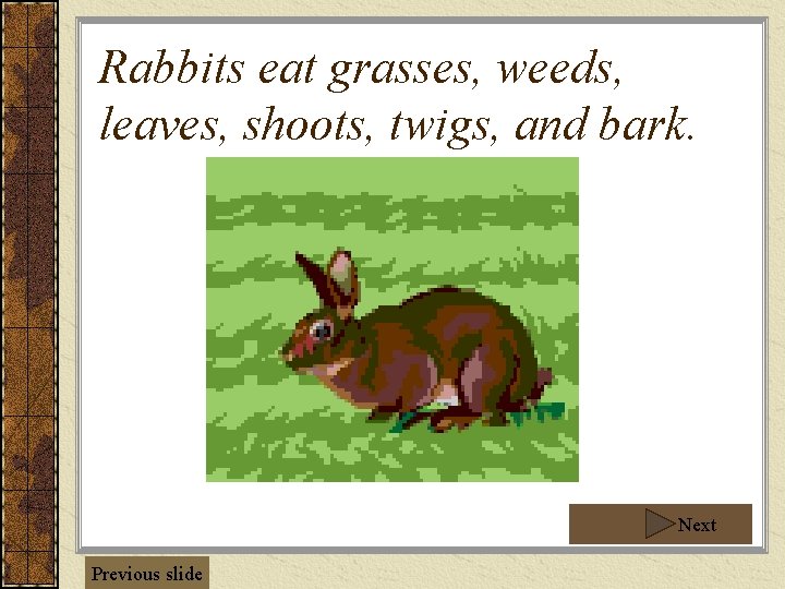 Rabbits eat grasses, weeds, leaves, shoots, twigs, and bark. Next Previous slide Rabbits eat grasses, weeds, leaves, shoots, twigs, and bark. Next Previous slide