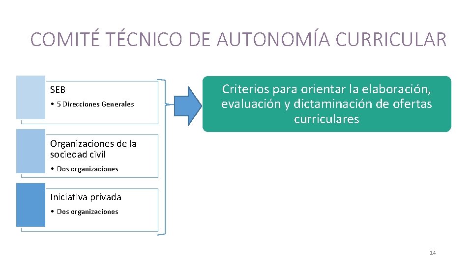 COMITÉ TÉCNICO DE AUTONOMÍA CURRICULAR SEB • 5 Direcciones Generales Criterios para orientar la