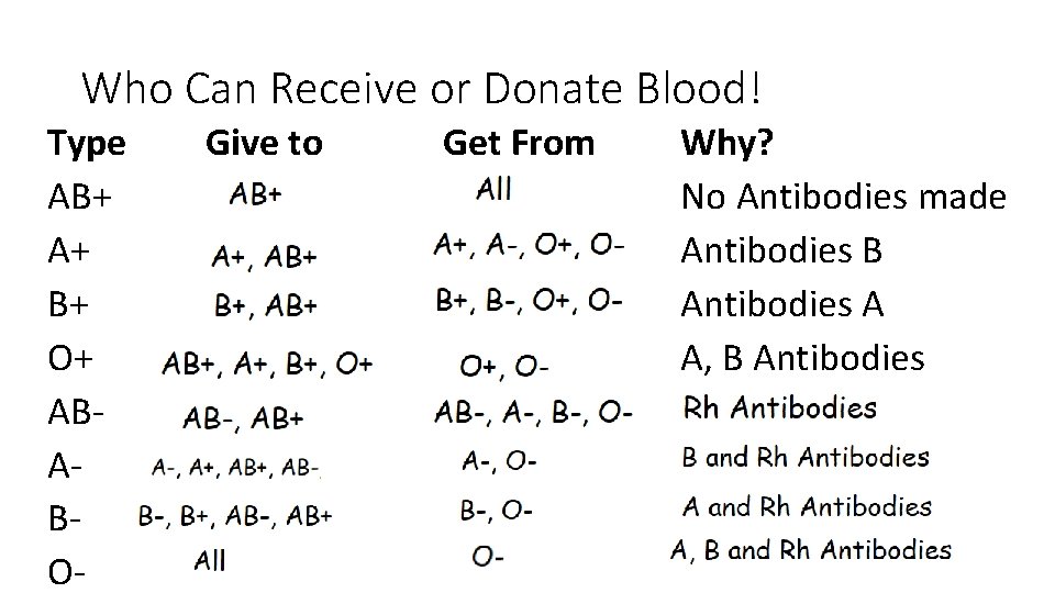 Blood Type and Multiple Alleles What is blood