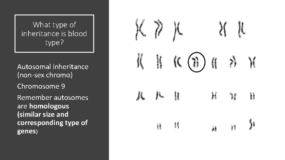 What type of inheritance is blood type? Autosomal inheritance (non-sex chromo) Chromosome 9 Remember