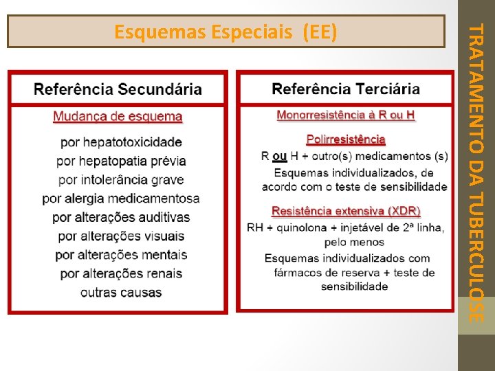 TRATAMENTO DA TUBERCULOSE Esquemas Especiais (EE) 