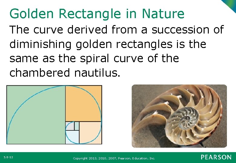 Golden Rectangle in Nature The curve derived from a succession of diminishing golden rectangles