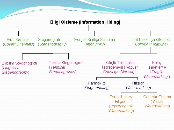 Bilgi Gizleme (Information Hiding) Gizli Kanallar (Covert Channels) Dilbilim Steganografi (Linguistic Steganography) Steganografi (Steganography)