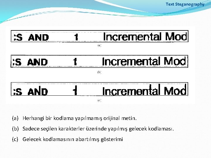 Text Steganography (a) Herhangi bir kodlama yapılmamış orijinal metin. (b) Sadece seçilen karakterler üzerinde