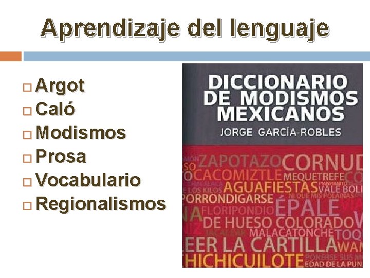 Aprendizaje del lenguaje Argot Caló Modismos Prosa Vocabulario Regionalismos 