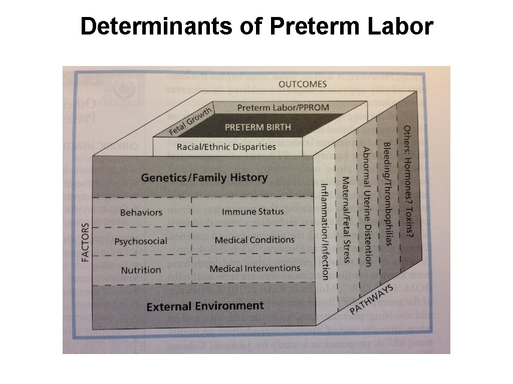 Determinants of Preterm Labor 