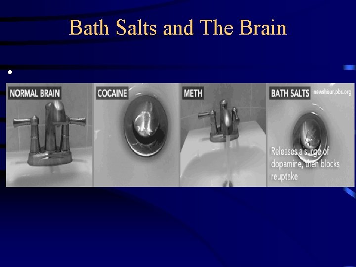 Bath Salts and The Brain • 