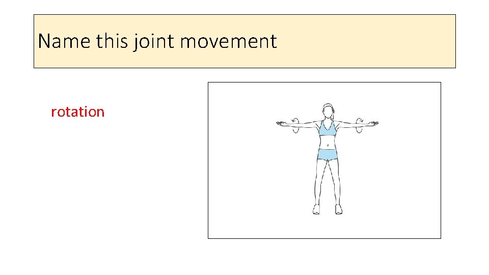 Name this joint movement rotation 