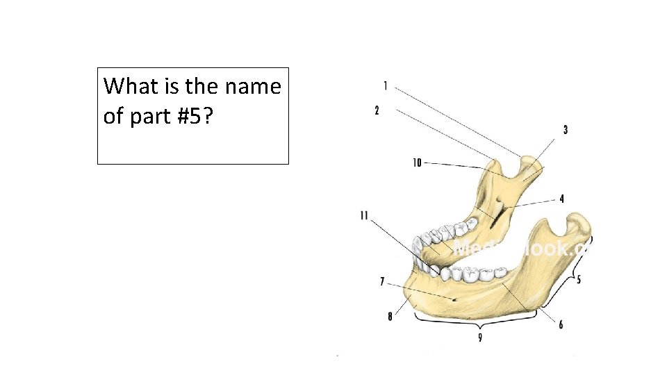 What is the name of part #5? 